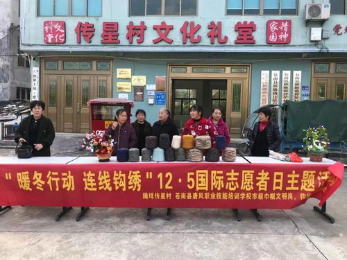 汇聚志愿之光，温暖苍南大地——国际志愿者日苍南社会组织在行动